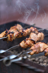 Shish kebab cooking on the barbecue in nature. Selective focus.