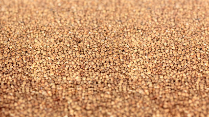 Buckwheat texture. Textures from raw buckwheat grains. Healthy food. Top view. Selective focus in the center