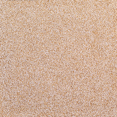Background of amaranth, amaranthus seeds healthy food background, wallpaper, texture