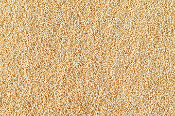 Background of amaranth, amaranthus seeds healthy food background, wallpaper, texture
