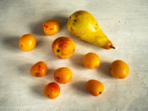 Fruit set of pear, apricot and nectarine on a bright table, top view