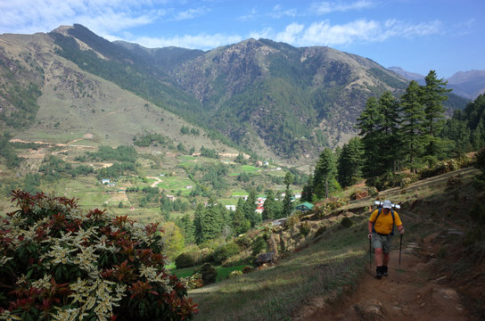 Hiker trekking in green mountains on trail between Jiri and Lukla, Lower part of Everest trek in Himalayas, Near Junbesi sherpa village, Solukhumbu region, Nepal