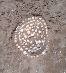 Sand castle and seashells on beach