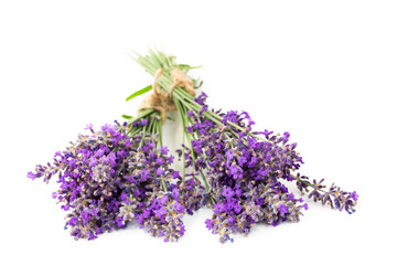 Bouquets of lavender on a white isolated background. Medicinal plants.