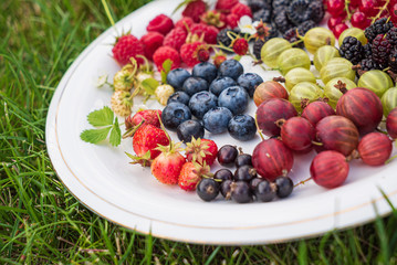 different kinds on berries on white plate