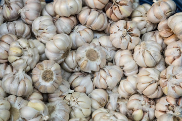 Weiße Knoblauchknollen auf dem Markt zum Verkauf,  Detail