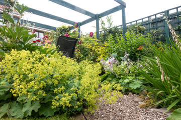 A gravel path winds it's way past planting in a cottage garden.