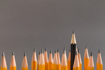 Black pencil protruding out of crowd of simple ones