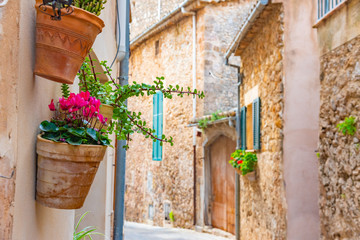 Beautiful window with flower pots and colorful flowers serving as a decoration of the facade. Spanish village Valldemossa, Mallorca, Spain