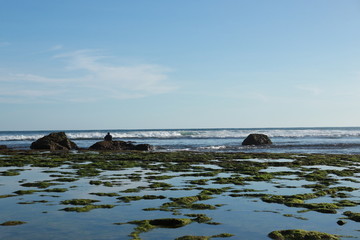 sea and rocks