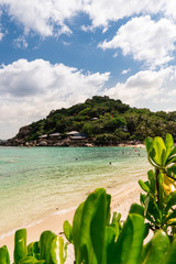 Koh Nang Yuan, Wyspa, Koh Tao, Tajlandia