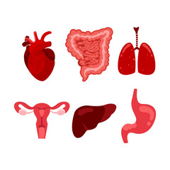 Creative set of human, lung, uterus, stomach, gastrointestinal tract isolated vector illustration