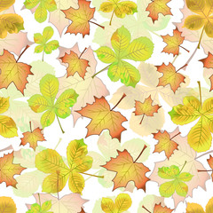 seamless pattern autumn leaves of maple and chestnut wallpaper season of the year colored background
