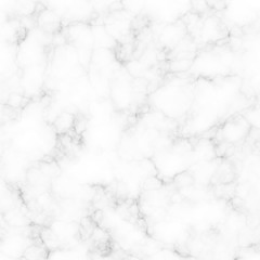 abstract gray color marble granite flooring background.tracery elegant line seamless backdrop...