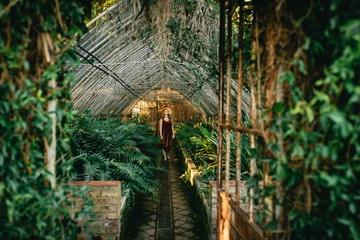 Young woman standing in a hothouse with cycads