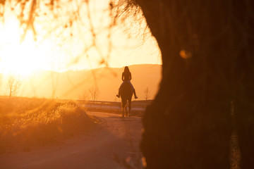 Silueta a contraluz de chica paseando a caballo por camino con un bonito atardecer - obrazy, fototapety, plakaty