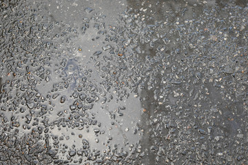 rain drops on the road