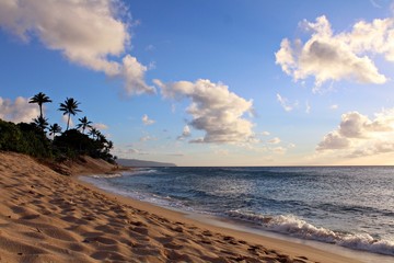 Hawaiian beach 