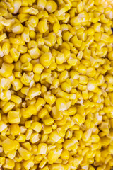 Corn grains close-up, top view