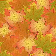 Naklejka na ściany i meble pattern autumn maple leaves illustration background colored