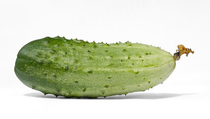 Fresh organic cucumber isolated on white background.