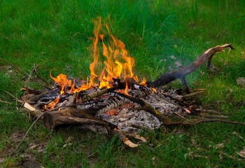 Bonfire of dry twigs on the green grass. Summer holiday in nature. The concept of forest fires.