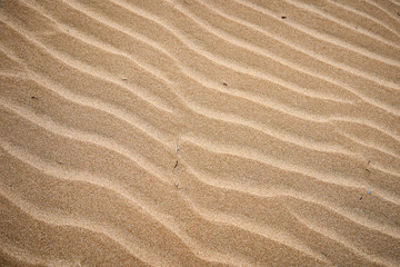 Fototapeta na wymiar Beach sand