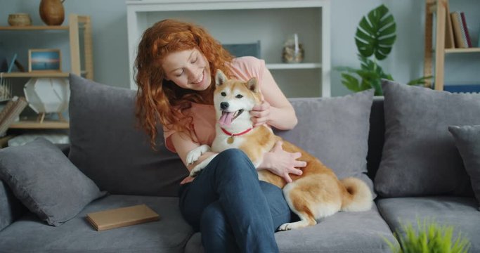 Slow motion of pretty girl stroking cute dog and talking to animal at home sitting on sofa in nice apartment. People, pets and modern lifestyle concept.