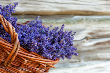 Bouquet of fresh fragrant lavender in basket on the old wooden wall background