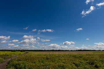 Obraz premium Blue sky with beautiful cumulus clouds over a wild field. Sky pattern.