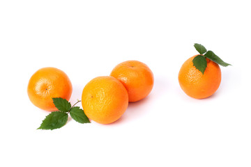 tangerines with leaves isolated on white background