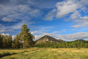 Fototapeta premium Landscape with pine and road..Kyzyl-Kensh National Park. Mountains Kent, Kazakhstan.