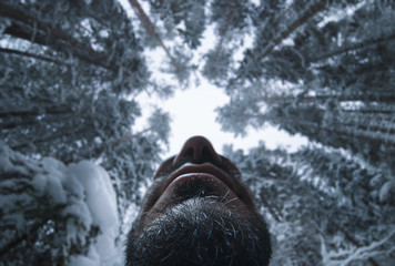 Bigfoot in the winter forest. View from the bottom. Focus on the chin.