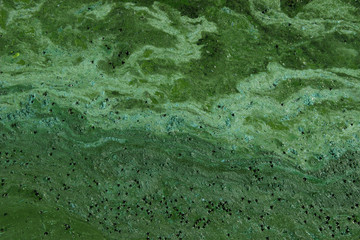 Blurred texture background. Cropped shot of dirty water, top view. Ecology, environmental pollution, nature concept. Abstract colorful background texture.