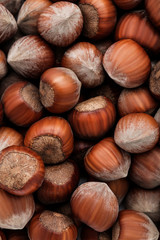 Background of ripe hazelnuts