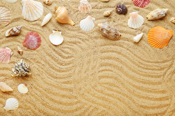 Different seashells on beach sand