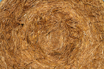 balla di fieno giallo come sfondo e texture, yellow hay bale as a background and texture