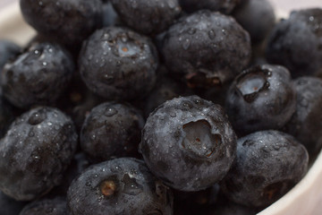 blueberries with water drops closeup.