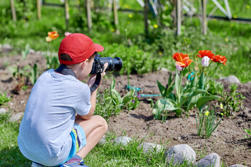 Boy is taking picture of blossoming trees in the countryside garden.