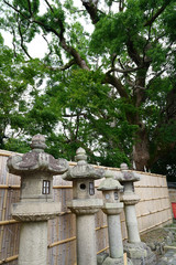 ◉Landscape of Iwashimizu Hachimangu◉