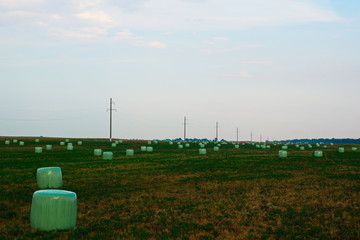 wind turbines in field at sunset