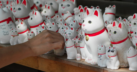 Woman put a cat in Gotokuji Shrine