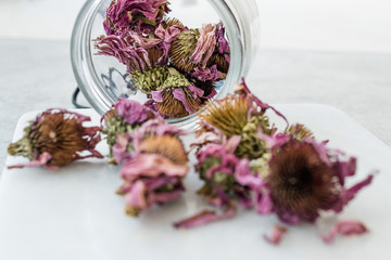 Herbal Tea Dried Echinacea Purpurea in Jar.
