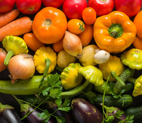 Summer vegetables of different colors. The alternation of colors in a rainbow. For salad or for a vegetable dish.