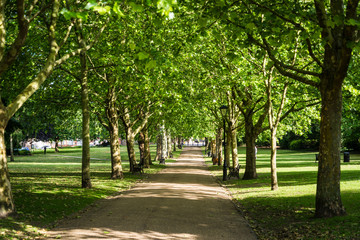 The Vines - a Well-kept, serene green space used as a setting in several Charles Dickens novels,...