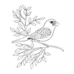 Cartoon bird for coloring book or pages