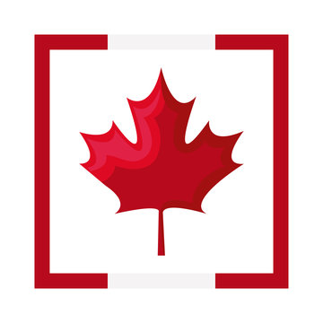 maple leaf canada in frame square