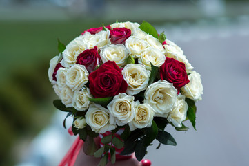 wedding celebration for young