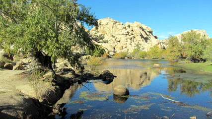 Desert rock pond