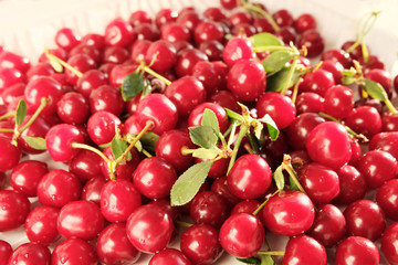 Close up of pile of ripe cherries with stalks and leaves. Large collection of fresh red cherries. Ripe cherries background.